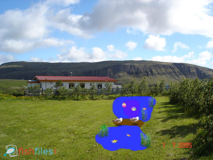 Image